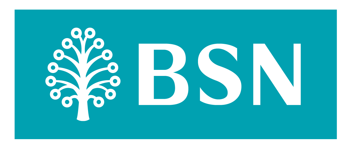 BSN Logo